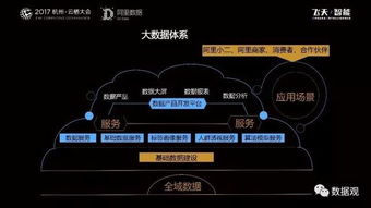 阿里數(shù)據(jù)服務(wù)產(chǎn)品開(kāi)發(fā)與大數(shù)據(jù)體系實(shí)踐 數(shù)據(jù)處理服務(wù)的核心洞察