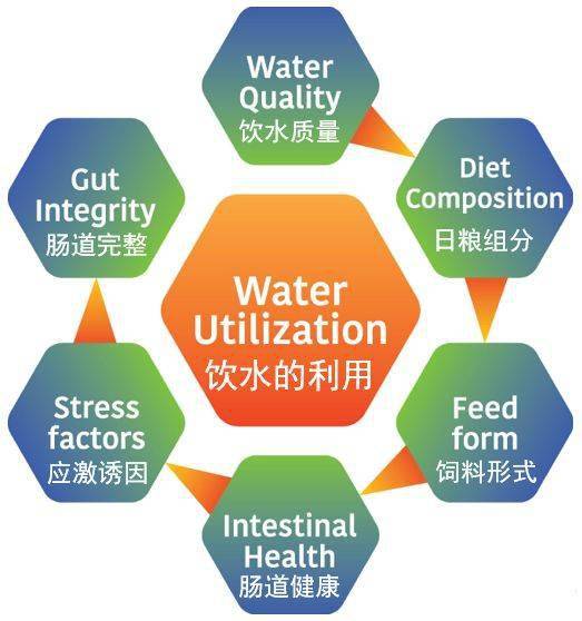 無(wú)處不在的水線問(wèn)題，凈化刻不容緩——二甲酸鉀來(lái)解決