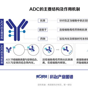 科創(chuàng)產(chǎn)業(yè)圖譜 ADC產(chǎn)業(yè)洞察（上）——差異化創(chuàng)新鑄造核心實(shí)力，國(guó)內(nèi)對(duì)標(biāo)在全球ADC格局中方顯貿(mào)易渠道內(nèi)生動(dòng)能